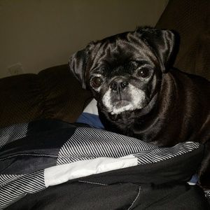 Meet your Posher, Lori